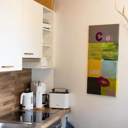 Residenz Wildkogelbahnen 20 Appartement