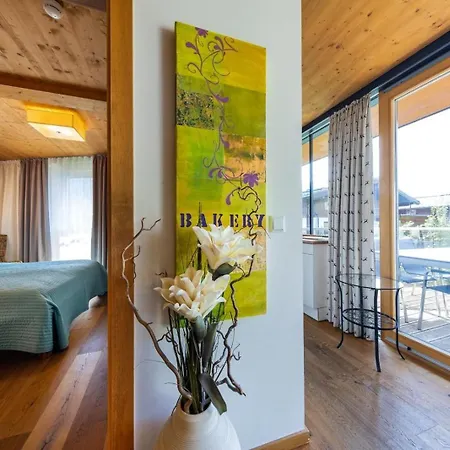 Residenz Wildkogelbahnen 20 Appartement