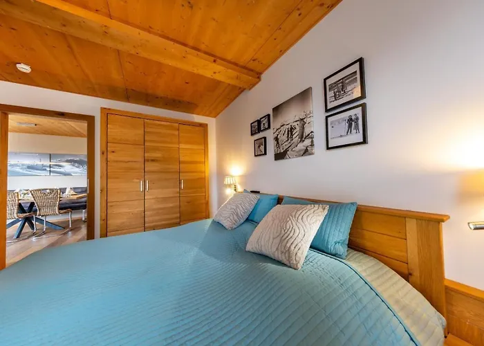 Appartement Residenz Wildkogelbahnen 20 *